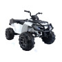 Электроквадроцикл Grizzly Next BDM 0909 24V White