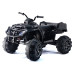 Електроквадроцикл Grizzly Next BDM 0909 24V Black