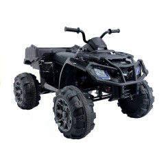 Электроквадроцикл Grizzly Next BDM 0909 24V Black