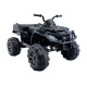 Электроквадроцикл Grizzly Next BDM 0909 24V Black