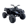 Електроквадроцикл Grizzly Next BDM 0909 24V Black