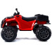 Электроквадроцикл Grizzly Next BDM 0909 24V Red