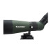 Підзорна труба Celestron Land &amp; Scout 12-36x60