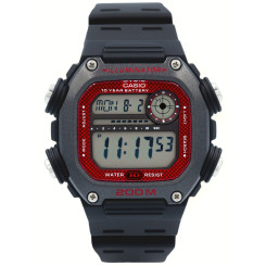 CASIO DW-291H-1BVEF
