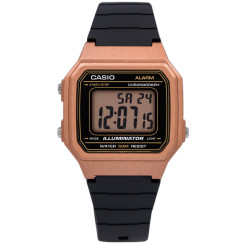 CASIO W-217HM-5AVEF