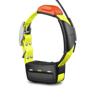 Ошейник с GPS-трекером Garmin T5 ✓ купить по низкой цене с